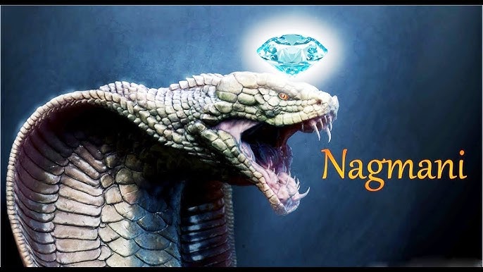 Nagmani Mystery