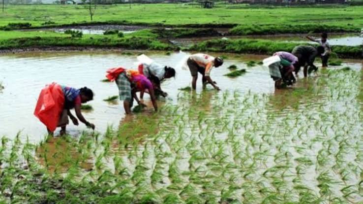 PM Kisan Yojana Latest Update 2026