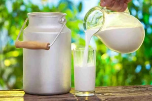 Amul Milk Price Hike