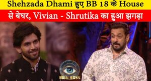 Shehzada Dhami journey in ‘Bigg Boss 18’ End, Target Vivian Dsena