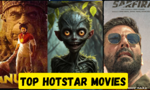 Top 5 Must-Watch Indian Movies on Disney+ Hotstar in 2024