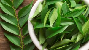 Why Curry Leaves Is Very Useful, You Will Be Shocked To Know Its Benefits