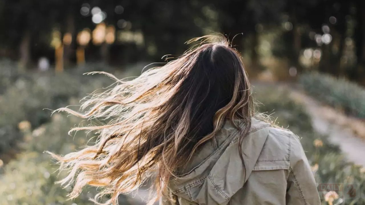 Long Hair Tips