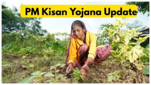 Empowering India Farmers A Closer Look at the PM Kisan Samman Nidhi Yojana in 2024