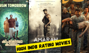 Top 5 High IMDB Rating Movies of 2024