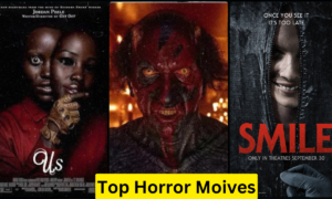 Top Horror Mystery Movies That Will Terrify You