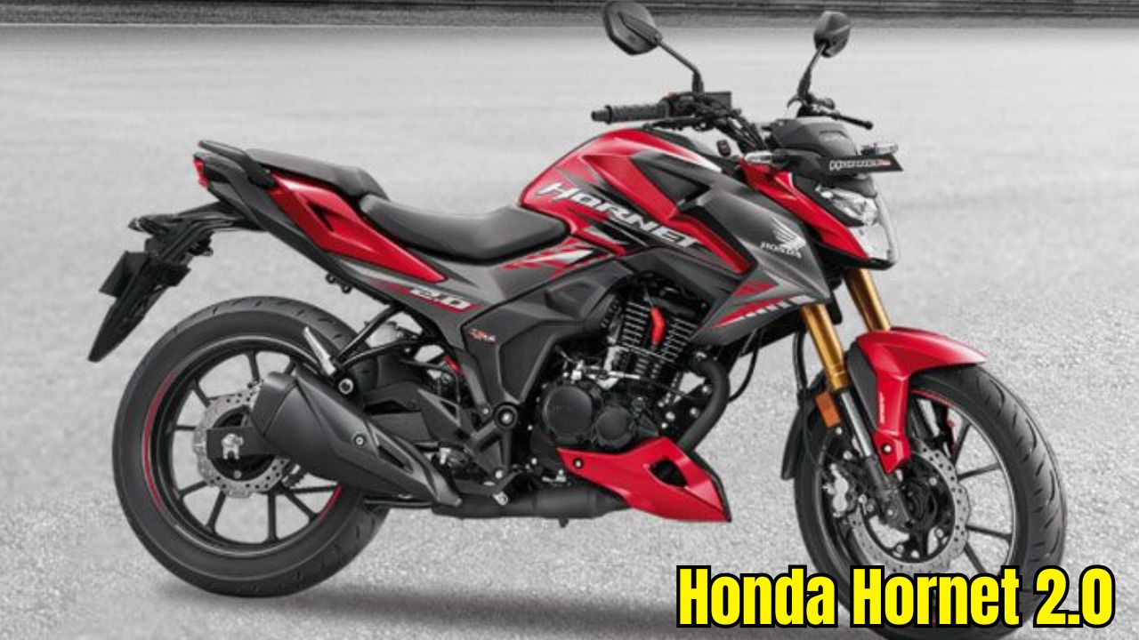 Honda Hornet