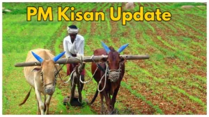 Unveiling the Eligibility Criteria for the 19th Installment of PM Kisan Yojana in 2024