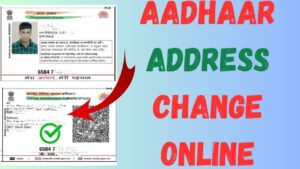 Decoding the Importance of Aadhaar Benefits And Concerns