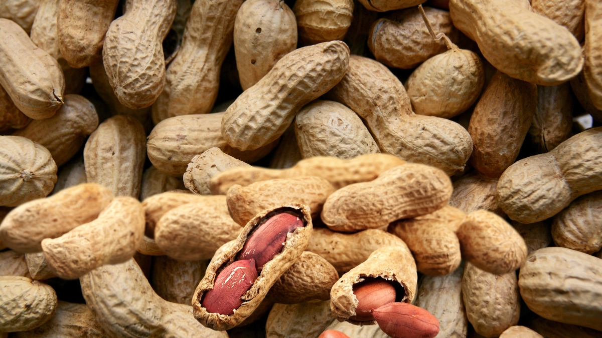 Peanuts खाण्याचे फायदे शारीरिक आणि मानसिक आरोग्यासाठी एक आदर्श आहार