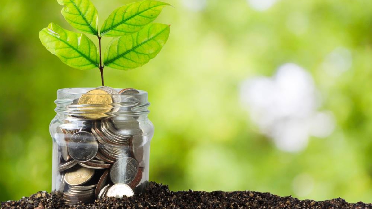 EPFO 35 वर्षांच्या सेवेनंतर मिळतील तब्बल ₹86,90,310 हे शक्य आहे