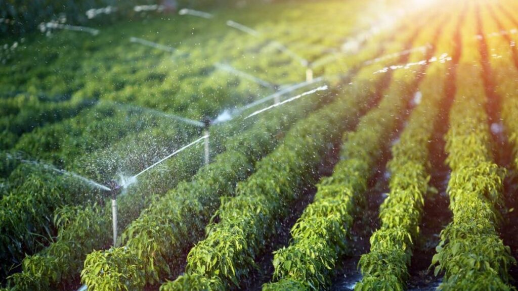 Pradhan Mantri Krishi Sinchayee Yojana मुळे “हर खेत को पानी” होतंय प्रत्यक्षात