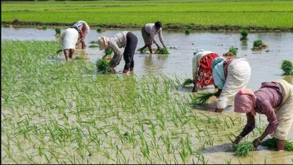 Pradhan Mantri Krishi Sinchayee Yojana मुळे “हर खेत को पानी” होतंय प्रत्यक्षात