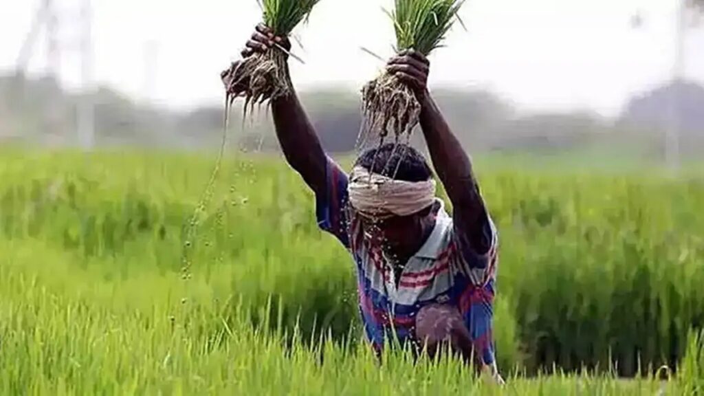 Mukhyamantri Kisaan Kalyaan Yojana अंतर्गत ₹10,000 चा थेट लाभ शेतकऱ्यांसाठी आर्थिक दिलासा