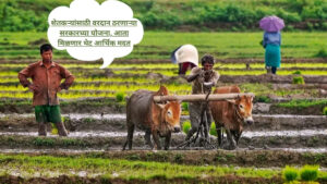 Government Schemes चा लाभ घेऊन वाढवा उत्पन्न, वाचवा पिकं आणि घ्या भरघोस सबसिडी