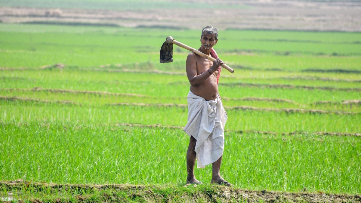 Government Schemes चा लाभ घेऊन वाढवा उत्पन्न, वाचवा पिकं आणि घ्या भरघोस सबसिडी