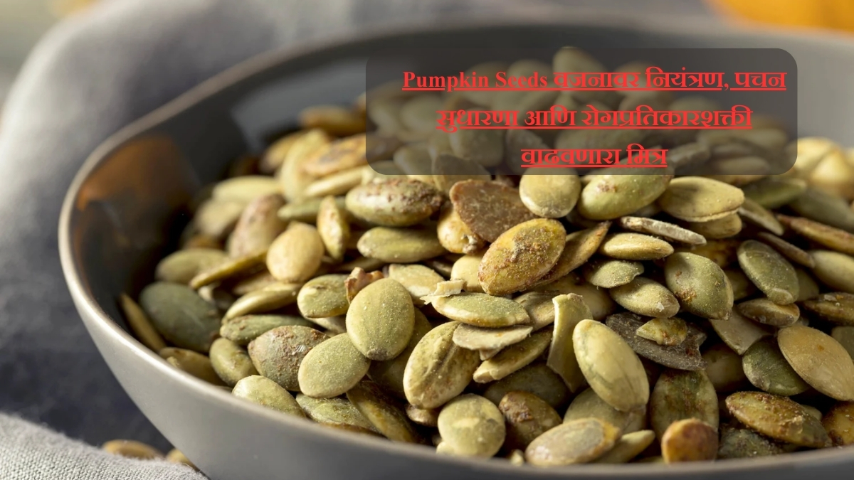 Pumpkin Seeds वजनावर नियंत्रण, पचन सुधारणा आणि रोगप्रतिकारशक्ती वाढवणारा मित्र