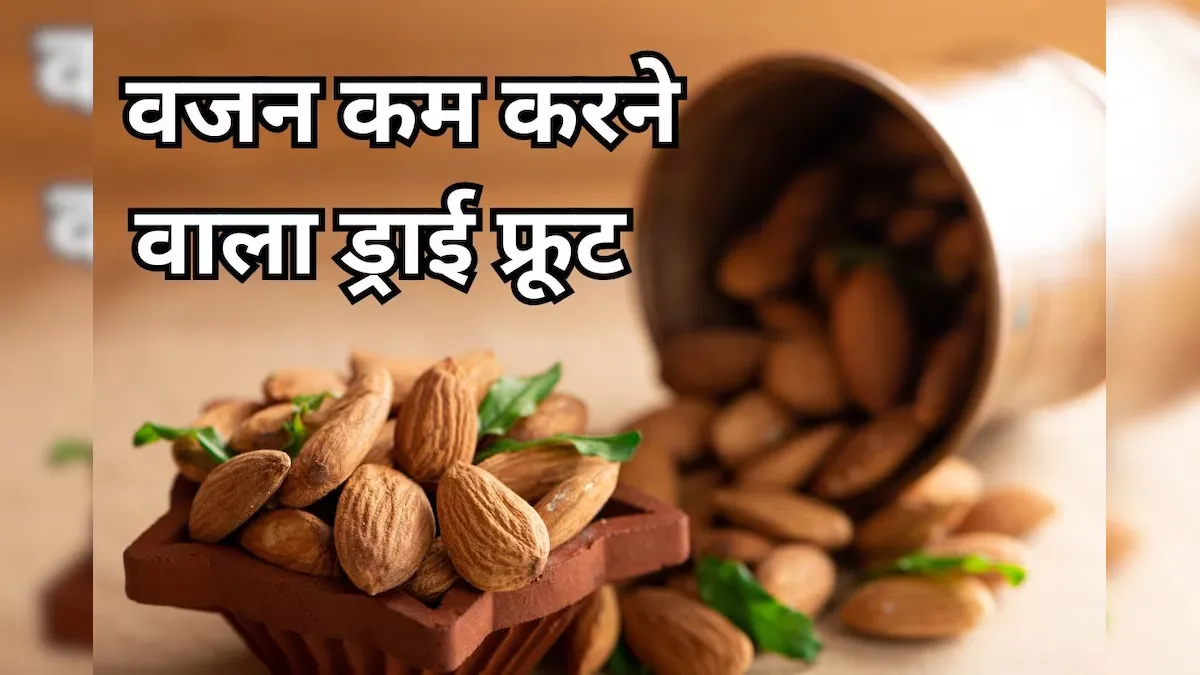 Almonds vs Cashew Nuts