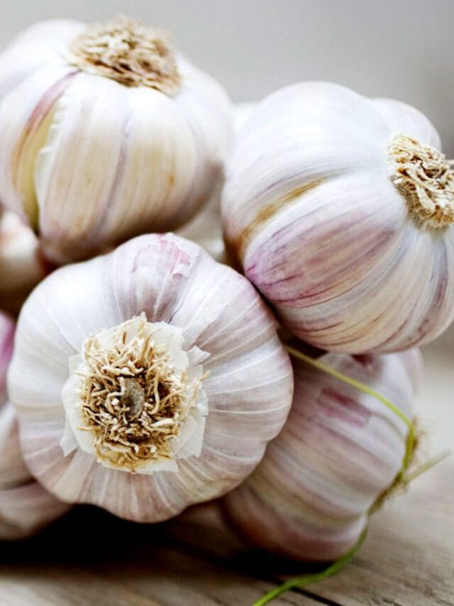 garlic-For-success