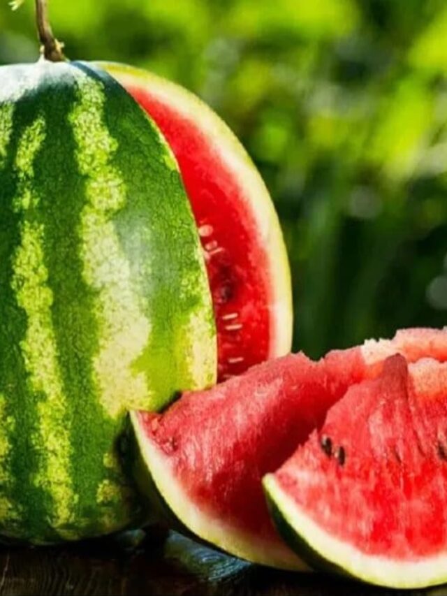 6617c7445c364-water-melon-111930992-16x9