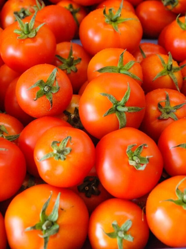 Tomatoes-005-1200-900-shutterstock