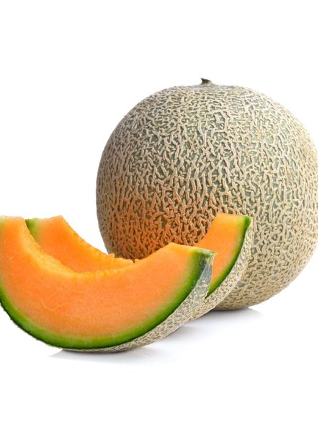 melon-large