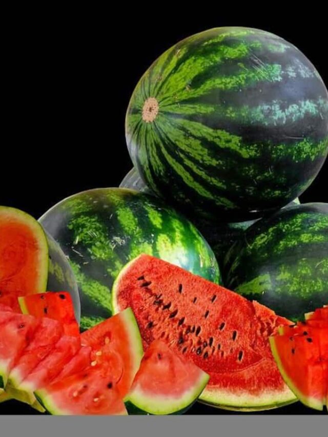 watermelon-with-seeds