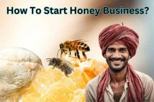 Honey Business Idea: सिर्फ 2.35 लाख रुपये में शुरू करें और कमाएं सालाना 13 लाख