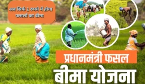 Fasal Bima Yojana: अब मात्र 1 रुपये में कराएं फसल बीमा, बचायें लाखों रुपये और पाएं सुरक्षा