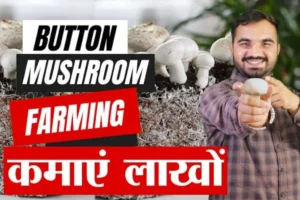 Pahadi Mashroom Farming Business: गुच्छी मशरूम की खेती से बनें करोड़पति, जानें कैसे करें बंपर मुनाफा