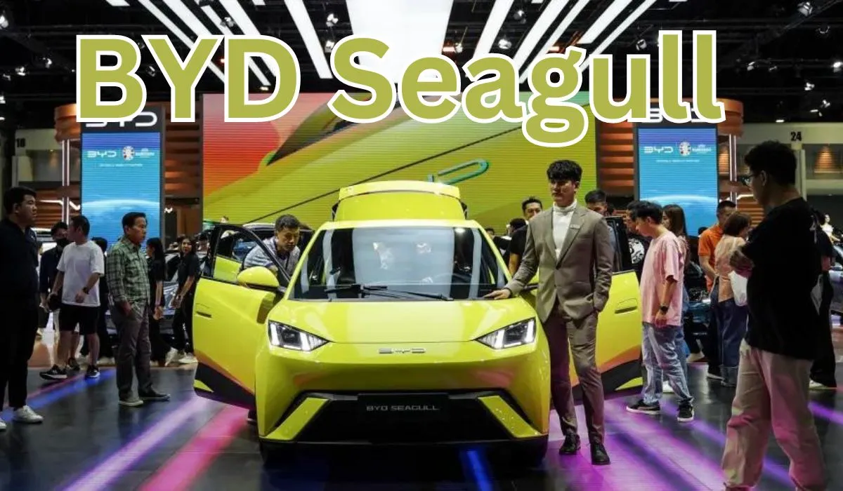 BYD Seagull