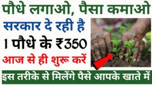 Carbon Sokho Paisa Kamao Scheme: पेड़ लगाओ और कमाओ 350 रुपये प्रति पेड़! जानें कैसे