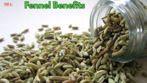 Fennel Benefits: नहार मुँह सौंफ का पानी पीने से मिलेंगे अद्भुद फायदे, चमक उठेगा चेहरा