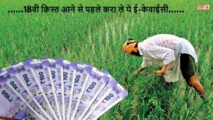 PM Kisan Yojana: 18वी क़िस्त आने से पहले करा ले ये ई-केवाईसी, वरना नहीं आयंगे खाते में पैसे