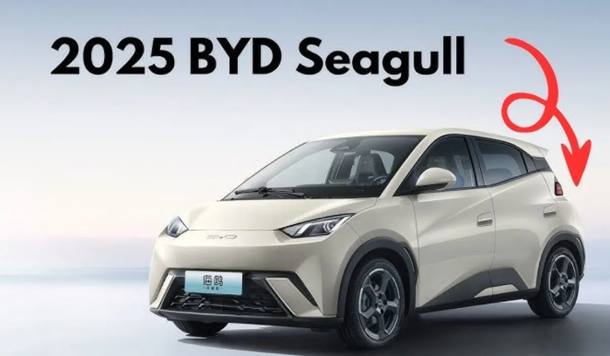 BYD Seagull Car