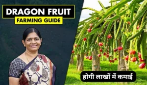 Dragon Fruit Business से कमाएँ लाखों! हरियाणा सरकार की सब्सिडी से शुरू करें यह बिज़नस