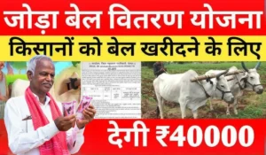 अब सिर्फ 4,000 रुपये में पाएं एक जोड़ा बैल! जानें कैसे उठाएं Jharkhand Joda Bail Yojana का फायदा