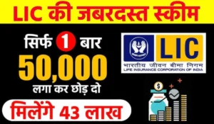 LIC Scheme: LIC की सुपरहिट योजना के तहत केवल ₹50,000 निवेश पर 20 साल में बनाएं ₹43 लाख, जानें कैसे