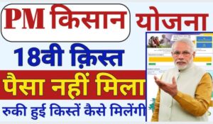 क्या आपकी PM kisan Yojana की किस्त अटकी है? जानें फटाफट कैसे पाएं पैसे अपने खाते में