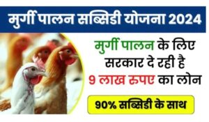 Poultry Farming Loan Yojana: सरकार दे रही है ₹2 लाख का लोन और 80% सब्सिडी! मुर्गी पालन से ऐसे कमाएं लाखों रुपये – अभी करें आवेदन