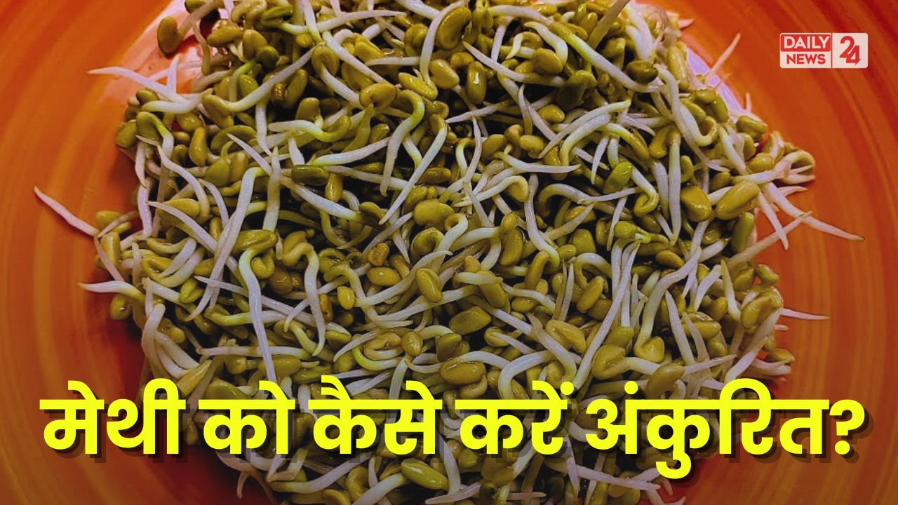 How To Make Sprouted Fenugreek