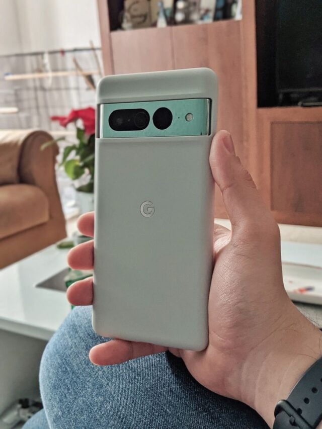 Google Pixel 7 Pro Official Case