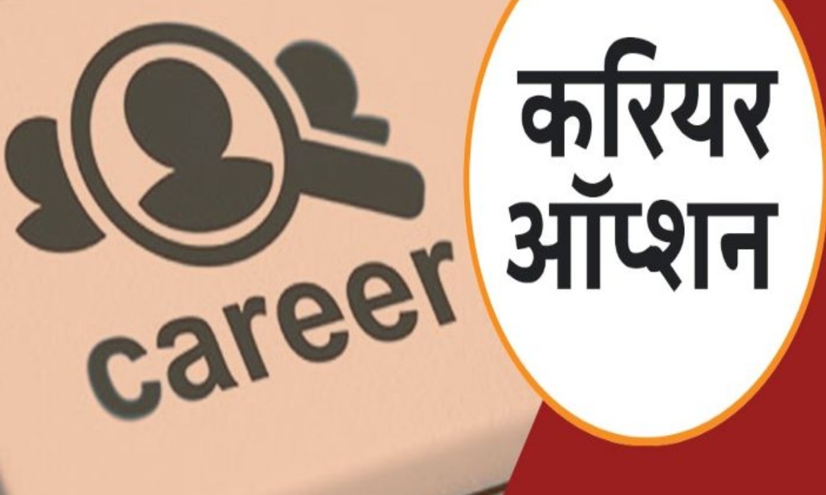 Career Options In Hindi Literature 