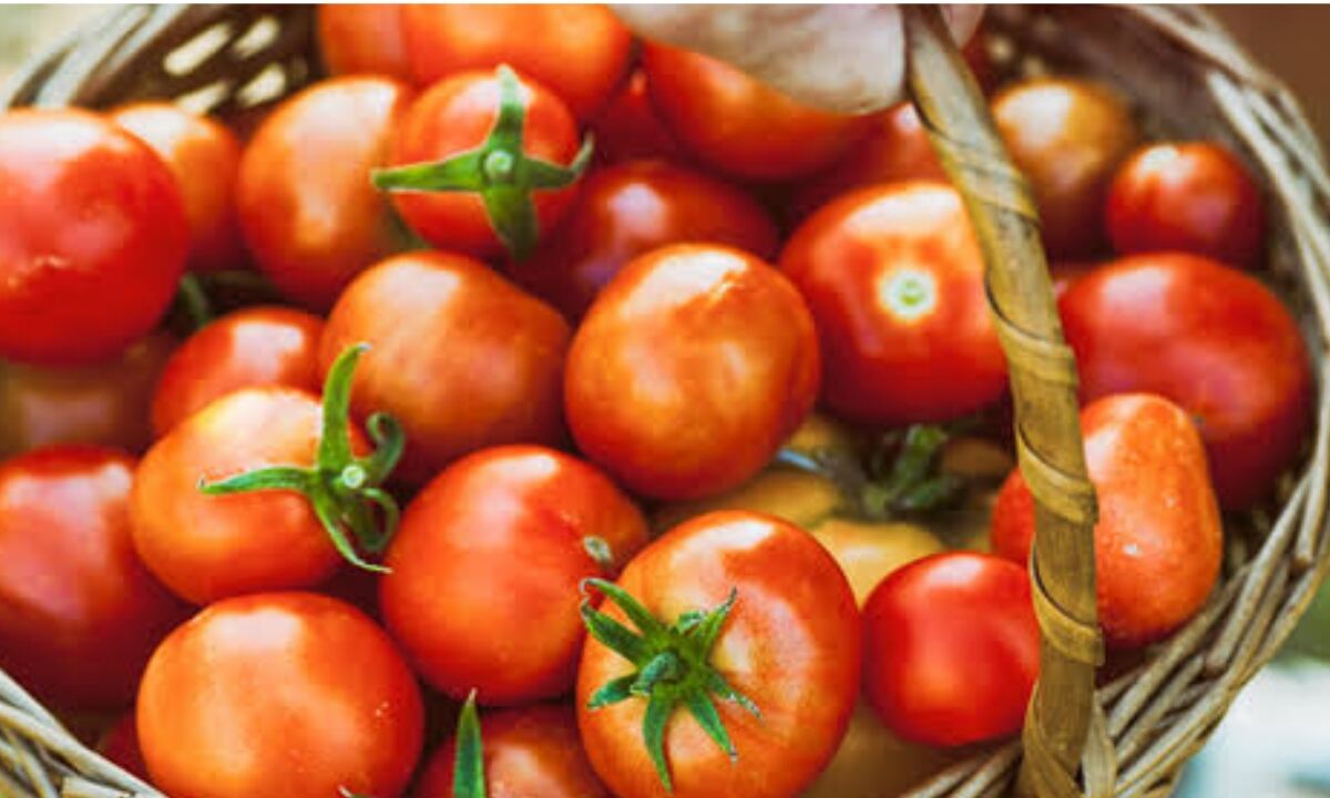 Tomato For Hair Growth 