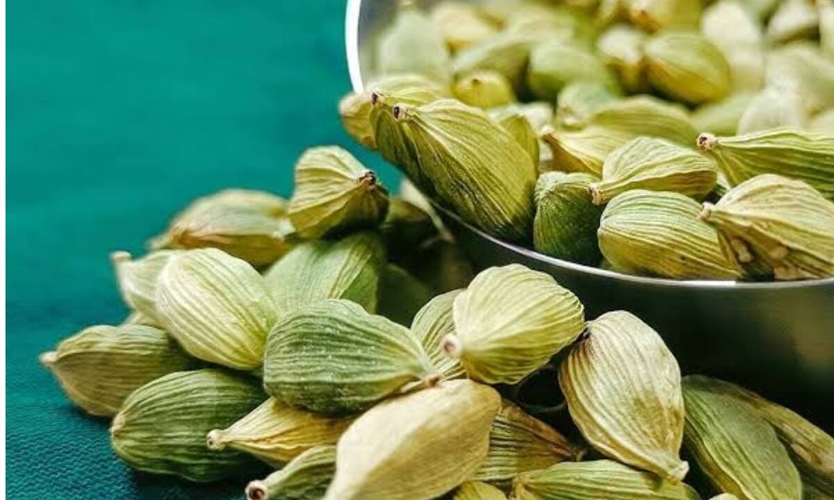 Cardamom Benifits In Hindi 