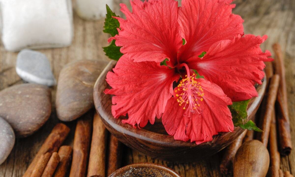 Hibiscus And Alovera Face Mask 