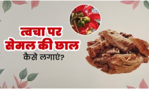 Skin Care Tips: जानिए त्वचा की चमक और बालों की मजबूती के लिए सेमल की छाल का उपयोग कैसे करें?