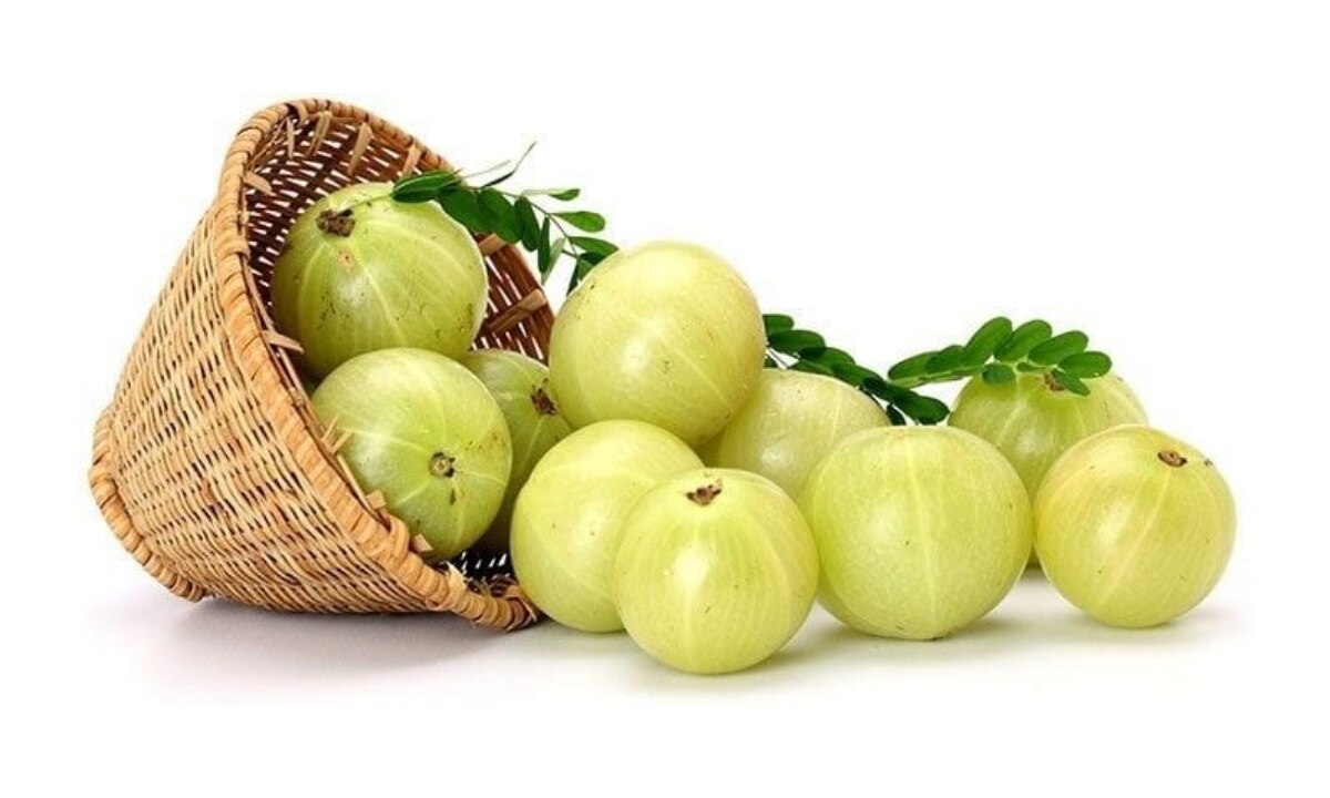 Amla Side Effects For Health 