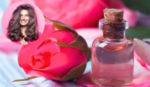 रात भर बालों में गुलाब जल (Rose Water) लगाना सही है या नहीं? जानें इसके इस्तेमाल का सही तरीका और फायदे