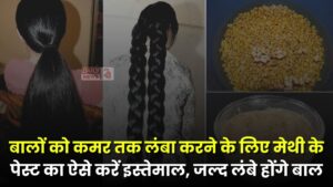 Long Hair Tips: बालों को कमर तक लंबा करने के लिए मेथी के पेस्ट का ऐसे करें इस्तेमाल, जल्द घने और लंबे होंगे बाल